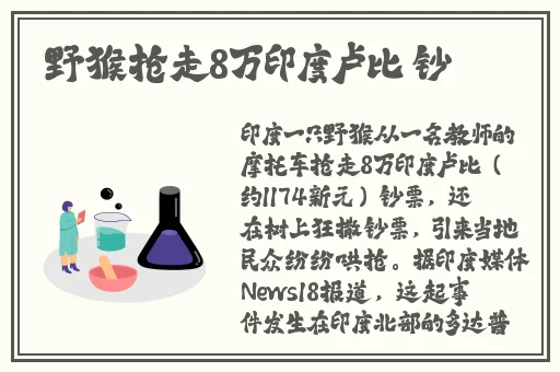 我和黑老大的365天